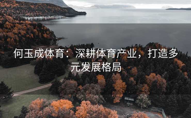 何玉成体育：深耕体育产业，打造多元发展格局