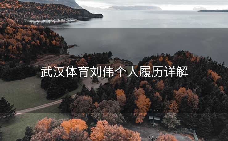 武汉体育刘伟个人履历详解