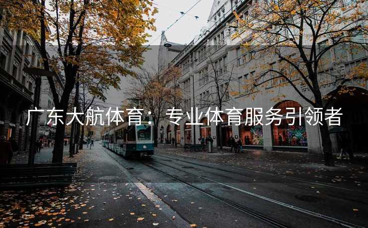 广东大航体育：专业体育服务引领者