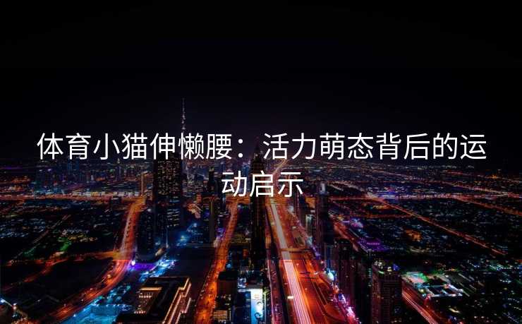 体育小猫伸懒腰：活力萌态背后的运动启示