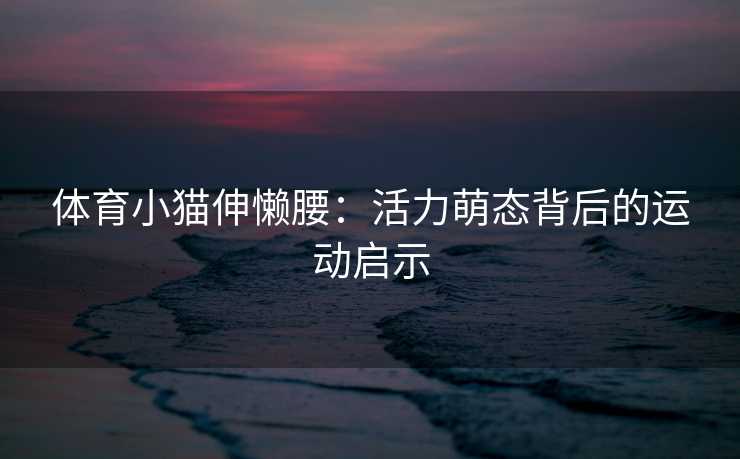体育小猫伸懒腰：活力萌态背后的运动启示