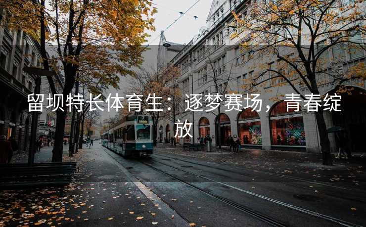 留坝特长体育生：逐梦赛场，青春绽放